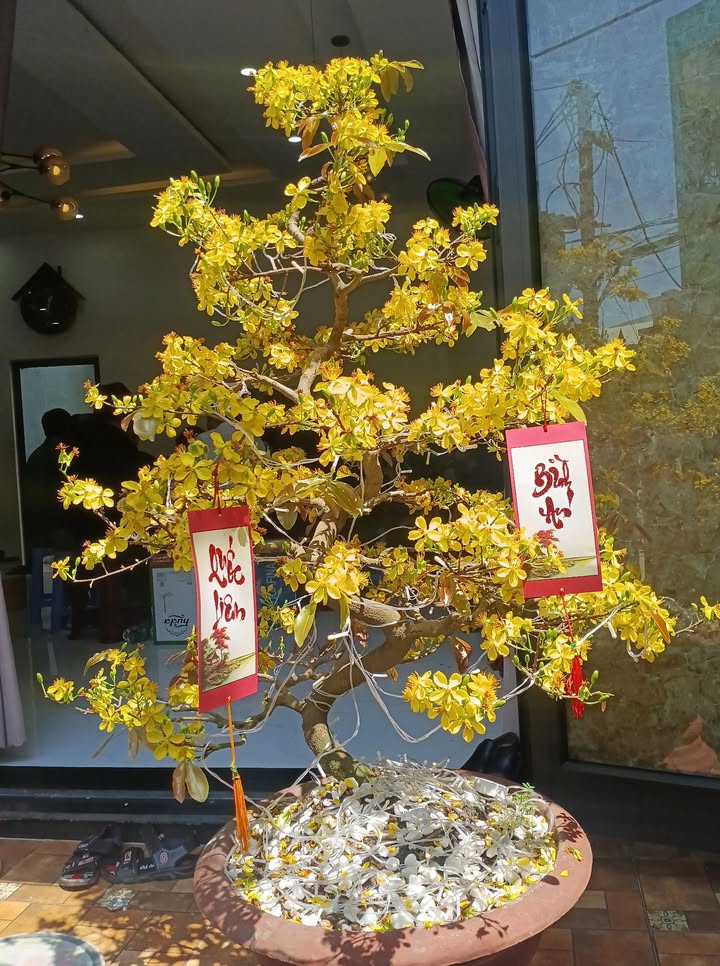 Bán Đất Nền 140m² Mặt Tiền Đường Bình Kỳ Kiệt, Tam Kỳ - Giá 3 Tỷ