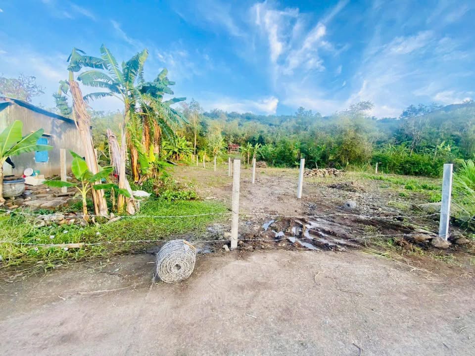 Đất nền Phú Nhuận Tuy An 216m² giá 400 triệu - Sổ đỏ chính chủ!