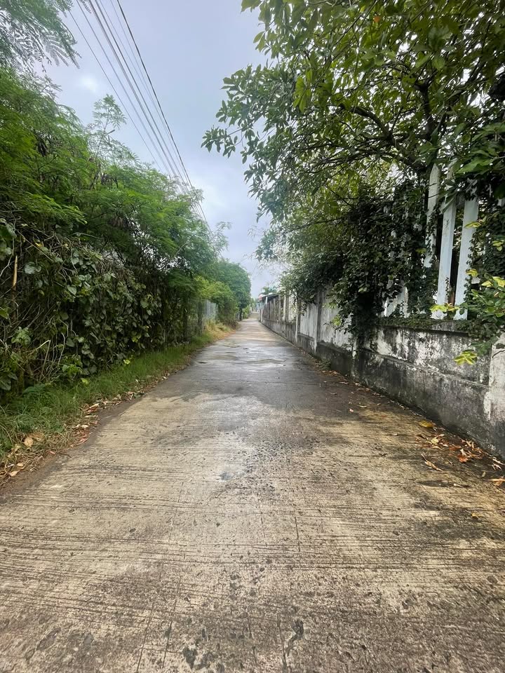 Đất nền Tuy Hòa 150m² - Đất thổ cư 100% sổ đỏ sẵn sàng!