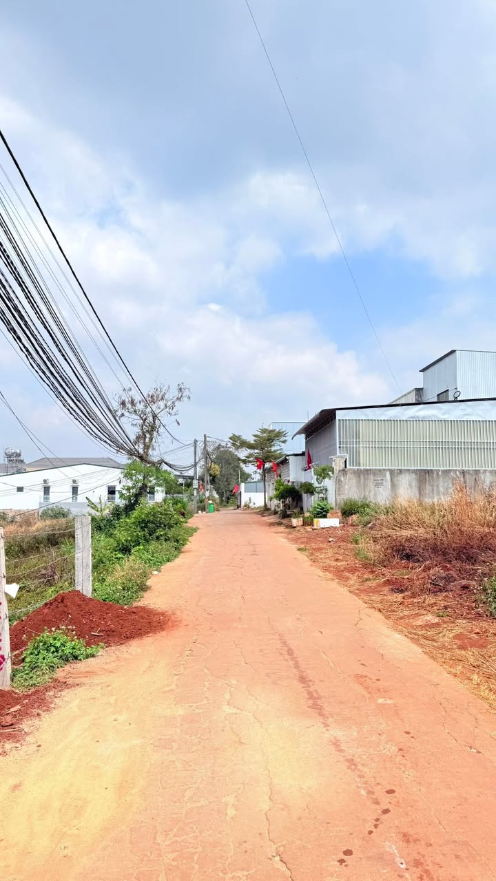 Đất Nền Tân Thành BMT 165m² Full Thổ Cư - Sổ Đỏ Chính Chủ!