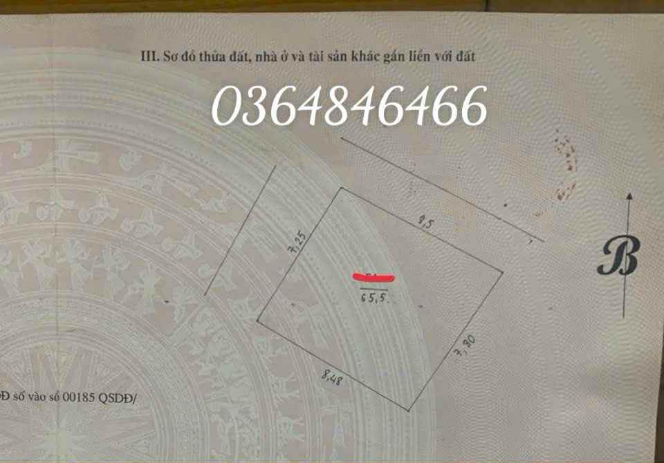 Bán đất Tả Thanh Oai Thanh Trì 65m² lô góc - Sổ đỏ chính chủ!