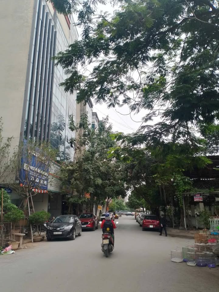 Nhà Phố Tố Hữu, Hà Đông 80m² - Kinh doanh Văn phòng Đẳng cấp, Giá 19 Tỷ