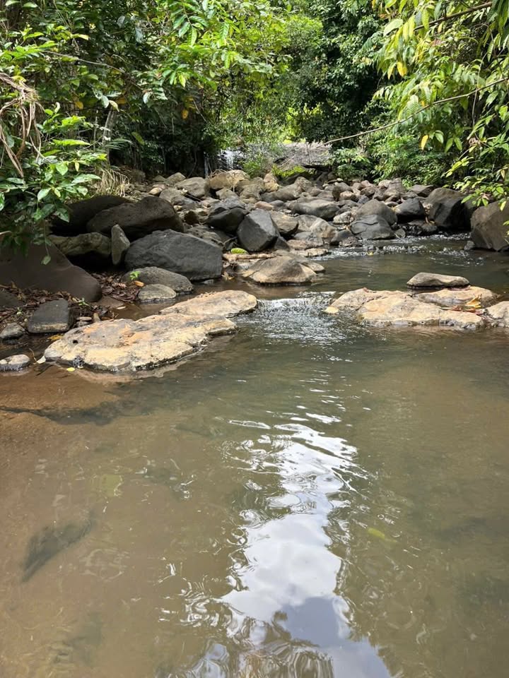 Bán Gấp Đất Vườn 2.2ha Ea Bá, Sông Hinh - Sẵn Sổ, Giáp Suối Lớn