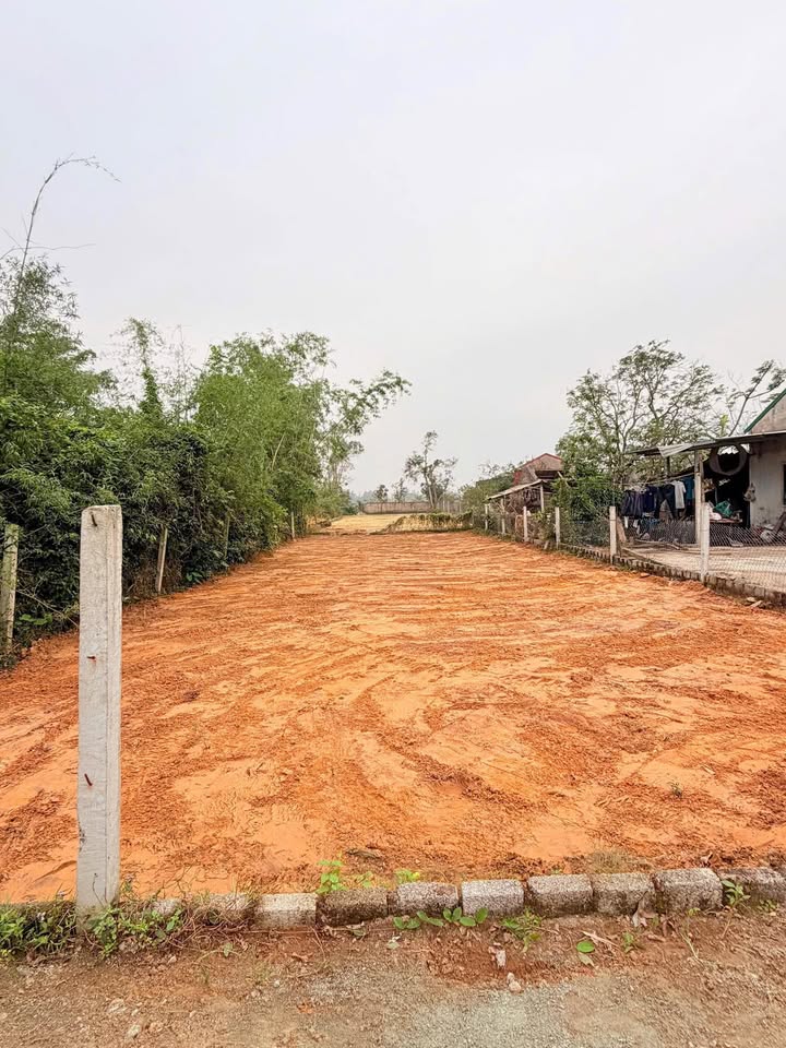 Đất Nền 155m² Đức Thiết, Nghi Lộc - Lối 2 Đường Thông, Dân Cư Đông Đúc