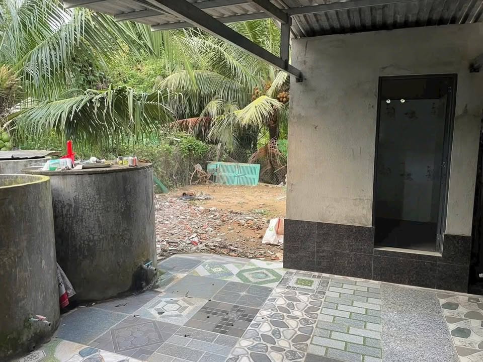 Mặt Tiền Kinh Doanh 239m² Xã Long Hòa, Bình Đại - Giá 1 Tỷ