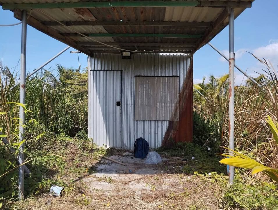 Bán Gấp Nhà Vườn 1000m² Hò Rò, Tuy Phong - Sổ Hồng Sẵn Sàng