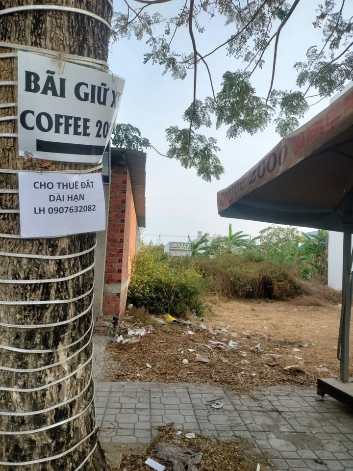 Đất nền Đại lộ Đông Tây Ba Tri 270m² - Vị trí vàng, Xây dựng tự do