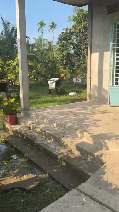 Đất nền Tiên Thủy 1000m² chỉ 450 triệu - Xây dựng tự do!