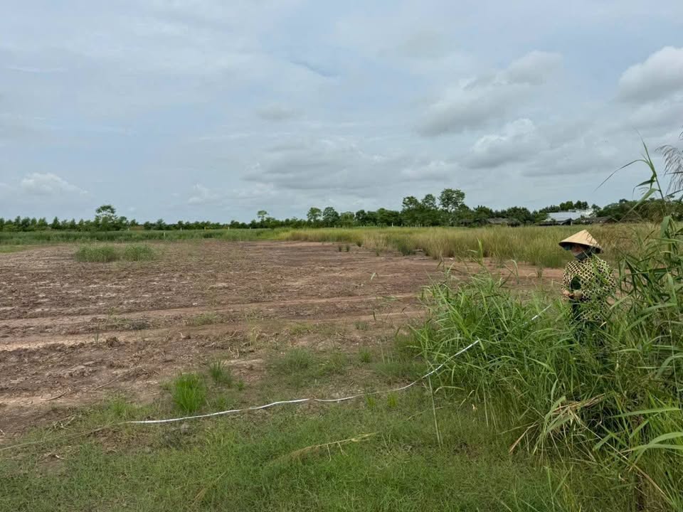 Đất nền Phú Đông 300m² giá 450 triệu - Sổ hồng sẵn, tiềm năng tăng giá!