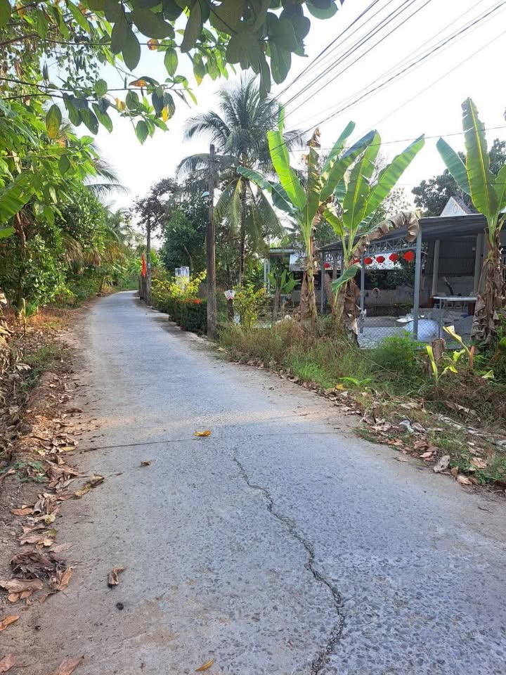 Bán Đất Vườn Cần Thơ 2146m² Mặt Tiền Rạch Mù U, Giá 2.04 Tỷ