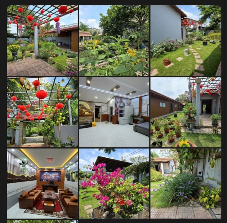 Nhà vườn Bình Mỹ Củ Chi 1000m² giá 8.6 tỷ - Nghỉ dưỡng lý tưởng