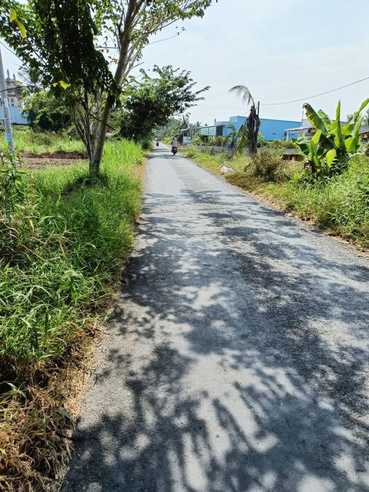 Đất Nền Sóc Trăng 222m² - Sổ Thổ Cư, Lộ Nhựa Ô Tô 7-16 Chỗ