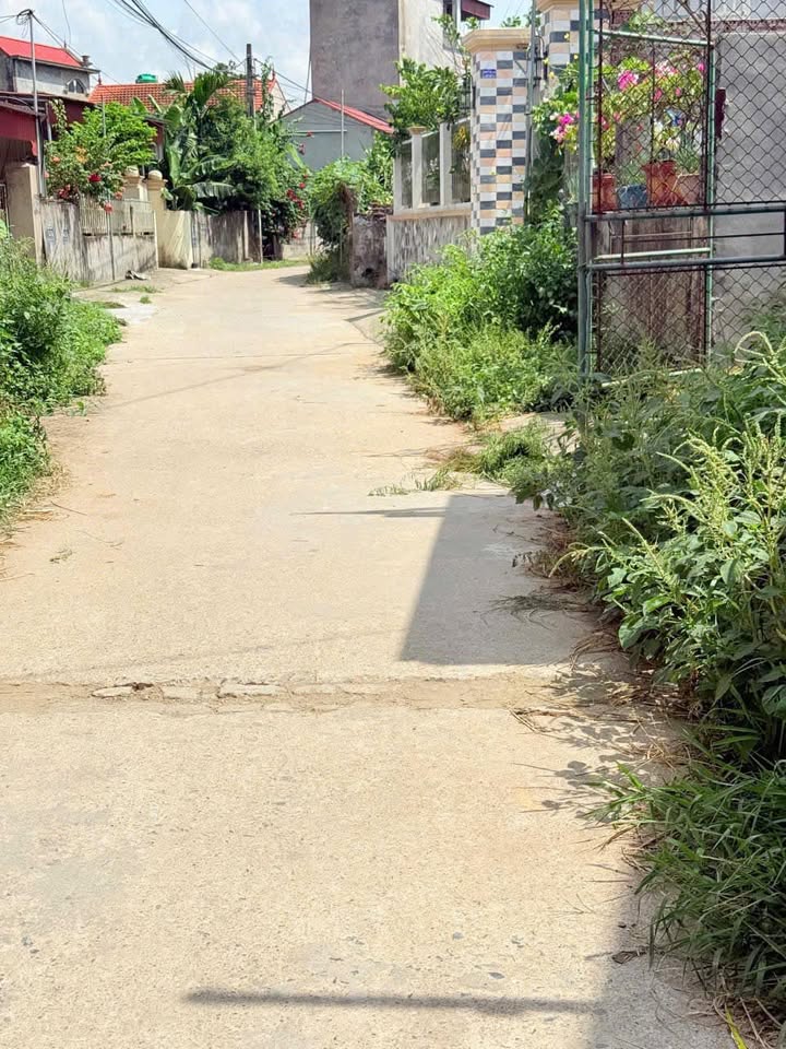 Đất nền Tống Trân 70m² Hưng Yên - Sổ đỏ chính chủ, ô tô đỗ cửa!