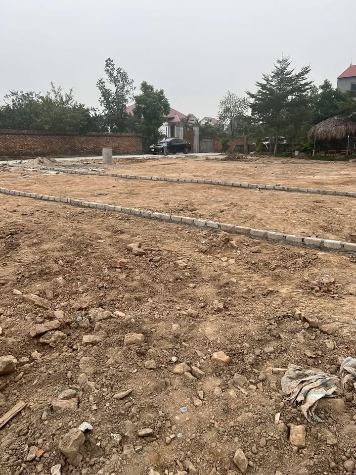 Đất Nền Thôn Cầu Rô, Bắc Giang - Sổ Đỏ Rõ Ràng, Giá Đầu Tư