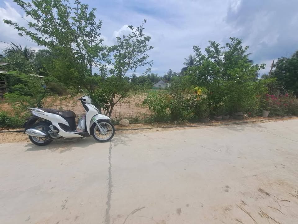 Đất nền Cát Lâm Phù Cát 200m² - Sổ đỏ chính chủ, đường ô tô thông