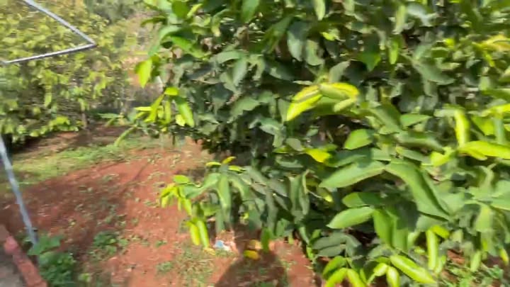 Bán Gấp Đất Vườn 1000m² Mặt Tiền Đường Nhựa, Có Nhà Vườn, Cây Ăn Trái & Nhà Yến Kinh Doanh - Biên Hòa