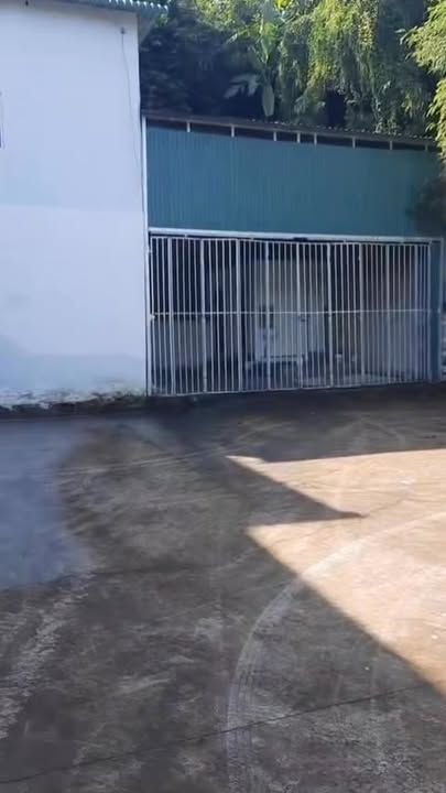 Đất Mặt Tiền QL1A Tân Lập 144m² Giá 1.18 Tỷ - Vị Trí Kinh Doanh Đắc Địa