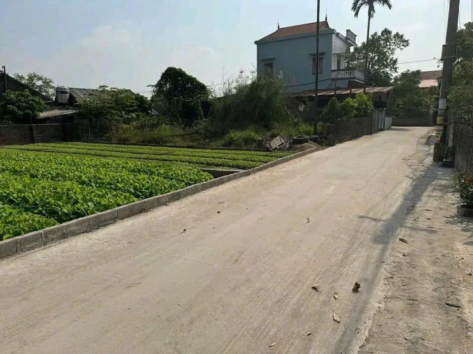 Đất Nền Đông Tảo, Khoái Châu 100m² - Sổ Đỏ Rõ Ràng, Tiềm Năng Sinh Lời Cao