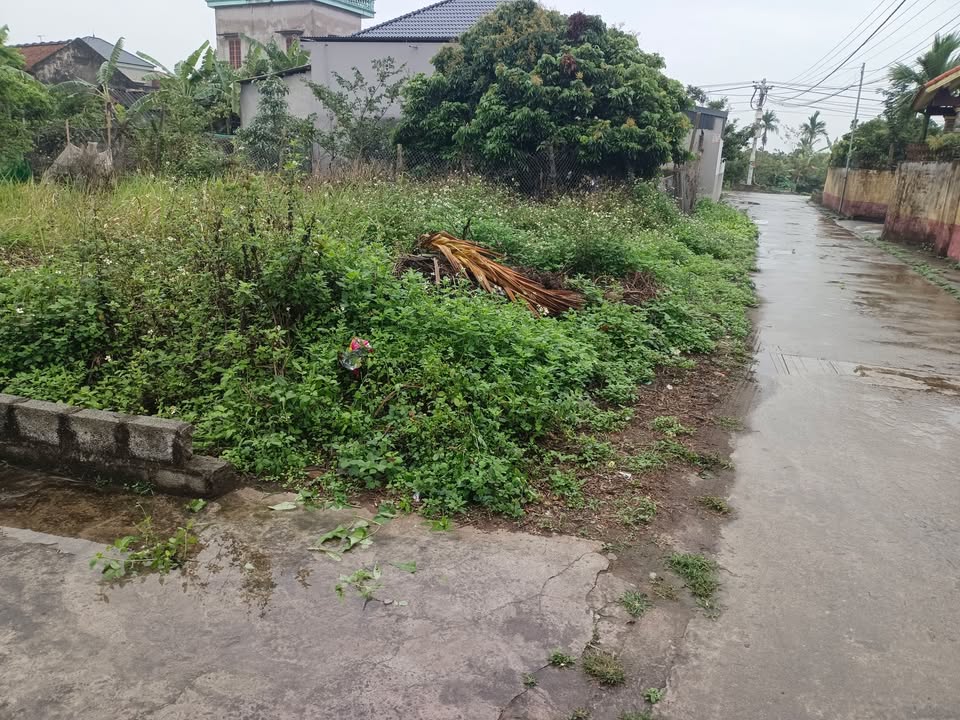 Đất thổ cư Phù Cừ 160m², 2 lô đẹp - Giá chỉ hơn 1 tỷ/lô