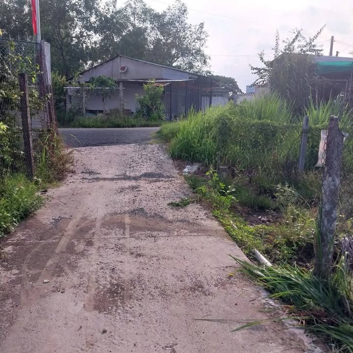 Đất nền Phường Thanh Đức Vĩnh Long 537m² - Sổ đỏ chính chủ!