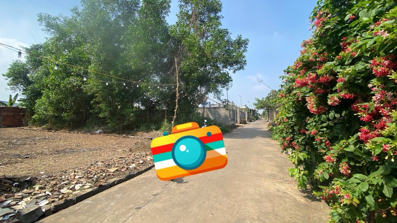 Bán Đất Vàng 273m² Trung Hòa, Biên Hòa - Sổ Đỏ Riêng, Nở Hậu Đẹp