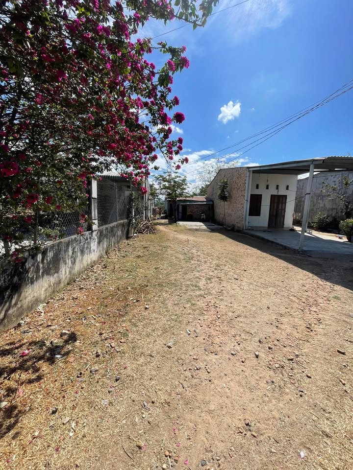 Đất Mặt Tiền Đào Duy Từ Nối Dài, Kon Tum - 280m² Kinh Doanh Sầm Uất