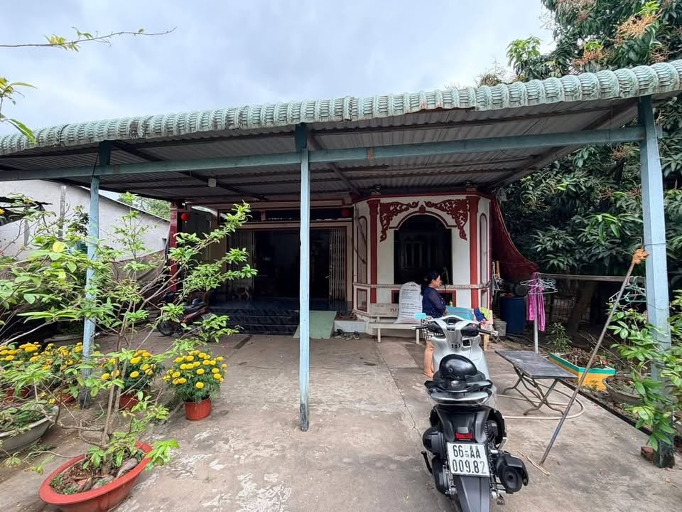 Bán Đất Mặt Tiền QL 54 Lấp Vò 377m² - Kinh Doanh Sầm Uất