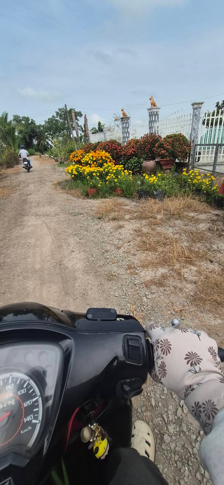 Bán Đất Ruộng Vĩnh Phú Thoại Sơn 12.000m² - Đầu Tư Dài Hạn!