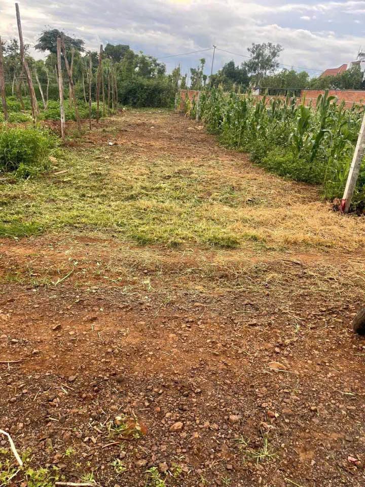 Đất nền Thôn 8, Tân Thành, BMT 165m² - Sổ đỏ chính chủ!