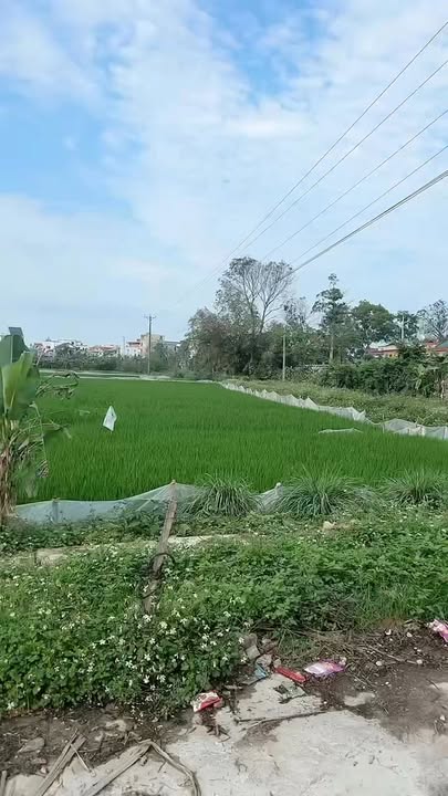 Đất nền Phường Bảo Thành, Yên Thành 435m² - Tiềm năng tăng giá