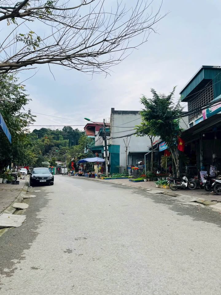 Đất nền Trần Thánh Tông, Lào Cai 100m² - Kinh doanh đắc địa, Sổ hồng sẵn sàng