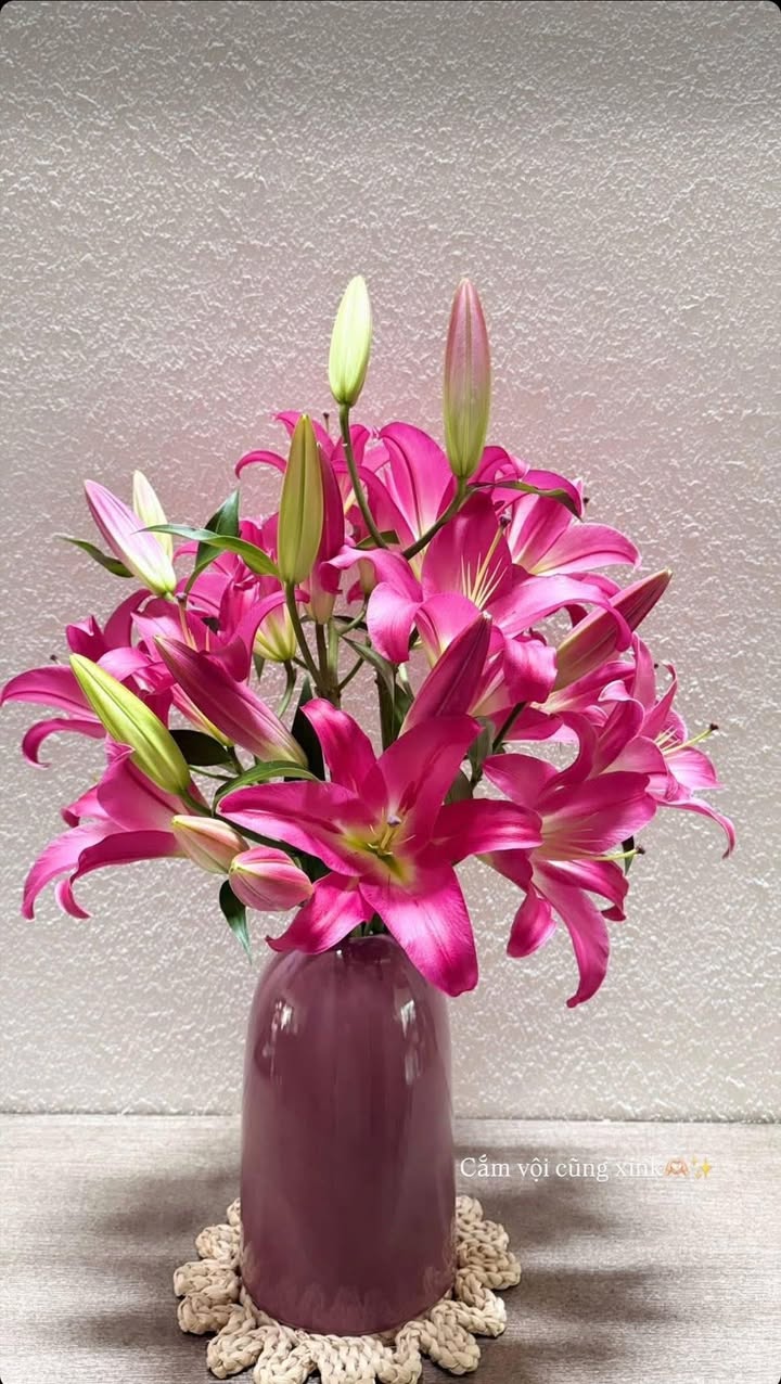 Đất nền Komleo Tuy Hoà 150m² - Tiềm năng tăng giá vượt trội!