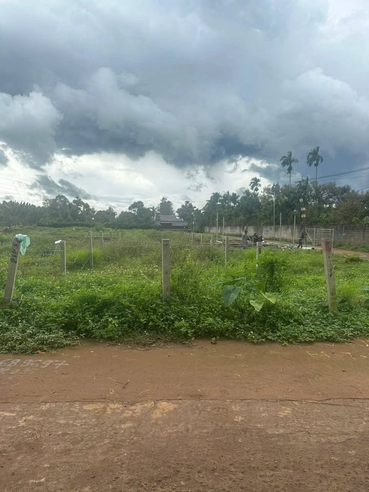 Đất nền Tân An, Buôn Ma Thuột 100m² - Sổ đỏ chính chủ