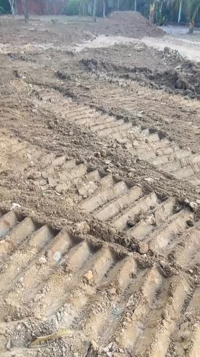 Đất nền Xuân Hưng 1419m² - Sổ đỏ chính chủ, ô tô vào tận nơi!