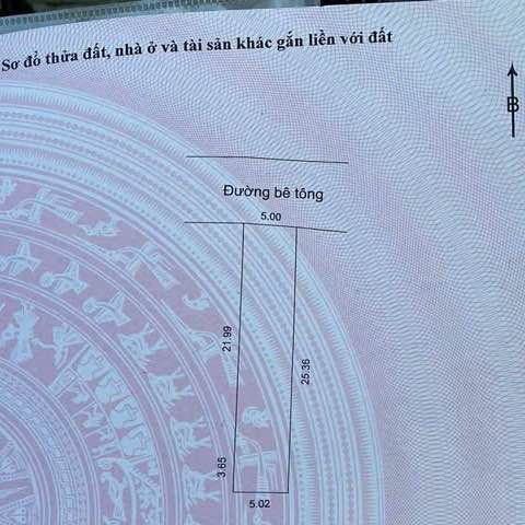 Đất nền TĐC Gò Lăng Hải Châu 128m² - Sổ đỏ chính chủ, xây tự do!