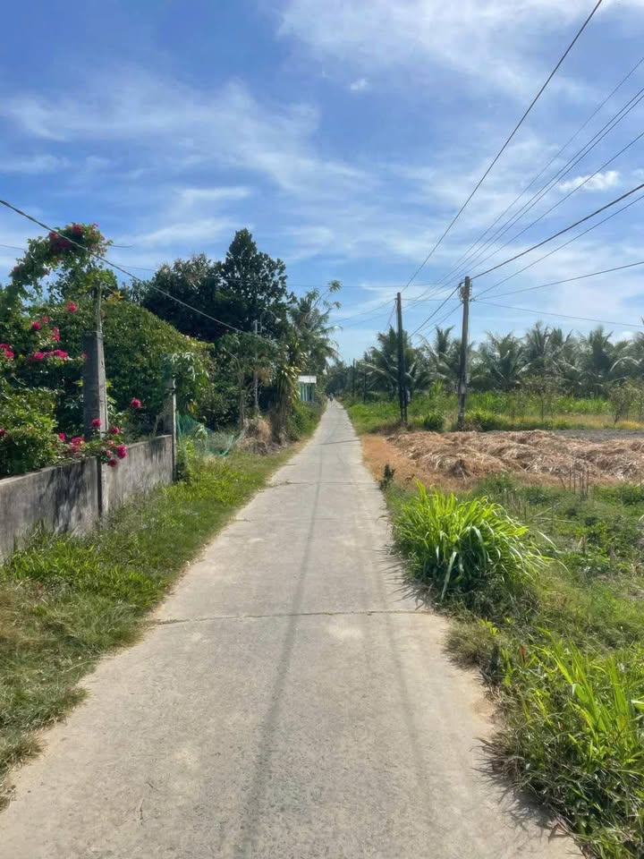 Đất Mặt Tiền Trà Vinh 1079m² - 660 Triệu, Thích Hợp Đầu Tư & An Cư