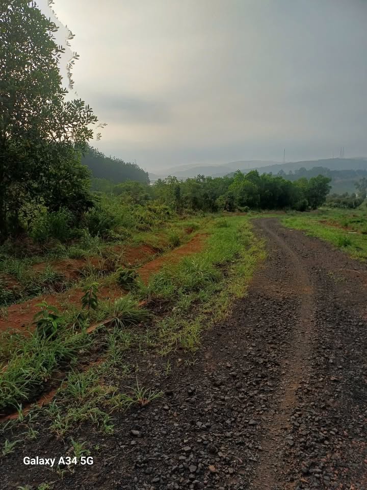 Đất nền Đức Liễu Bù Đăng 200m² giá 100 triệu - Sổ đỏ chính chủ!