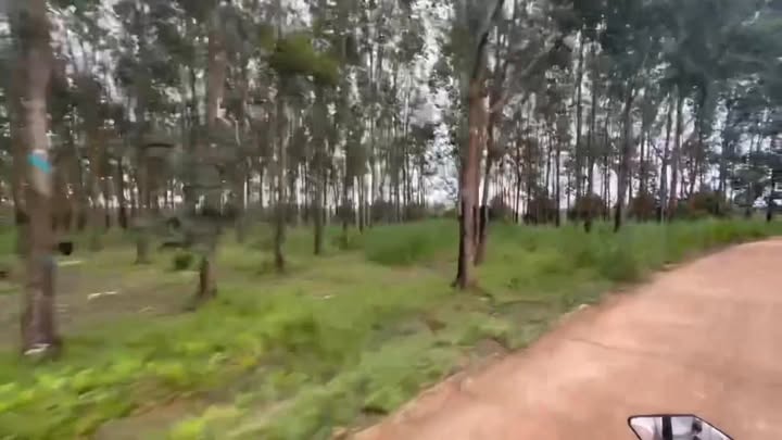 Bán gấp 4.5ha đất trồng cao su view hồ, Bù Đăng - Sổ đỏ chính chủ