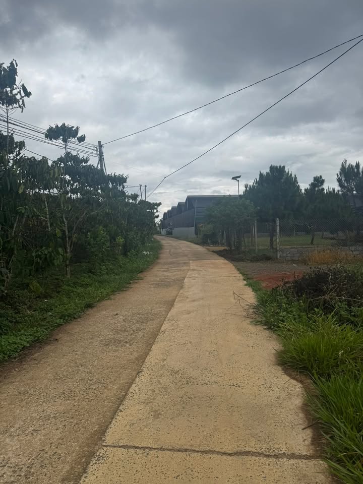 Đất Nền Mặt Tiền Hẻm 266 Đoàn Thị Điểm, Bảo Lộc - 620m² Giá 1.4 Tỷ