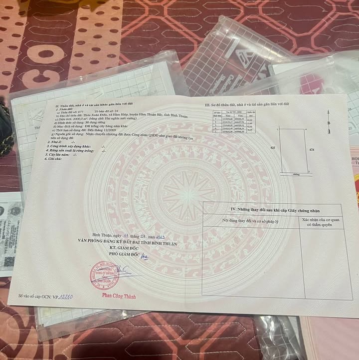 Bán Gấp 3 Lô Đất Vàng Hàm Thuận Bắc, Bình Thuận - Sổ Riêng Từng Lô