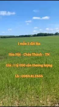 Đất nền Hòa Hội, Tây Ninh 1.5 mẫu giá 1.05 tỷ - Tiềm năng tăng giá!