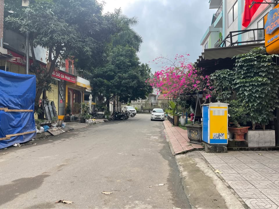 Bán 2 Lô Liền Kề 160m² Đường Châu Phong, Việt Trì - Kinh Doanh Đắc Lợi