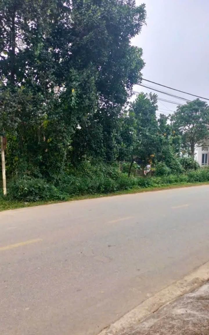 Bán Đất Mặt Tiền 370m² Xã Minh Đài, Phú Thọ - Giá 1.1 Tỷ