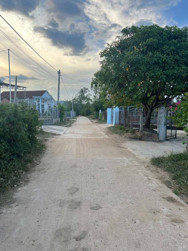 Đất Lô Góc 120m² Gần Cụm CN Gò Cầy, Bình Định - Giá Tốt