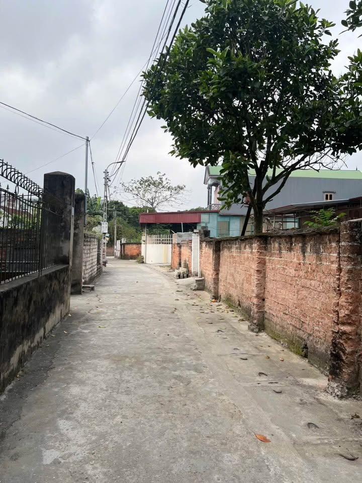 Đất nền Sơn Lộc, Sơn Tây 174m² - Sổ đỏ chính chủ, ô tô tận đất!