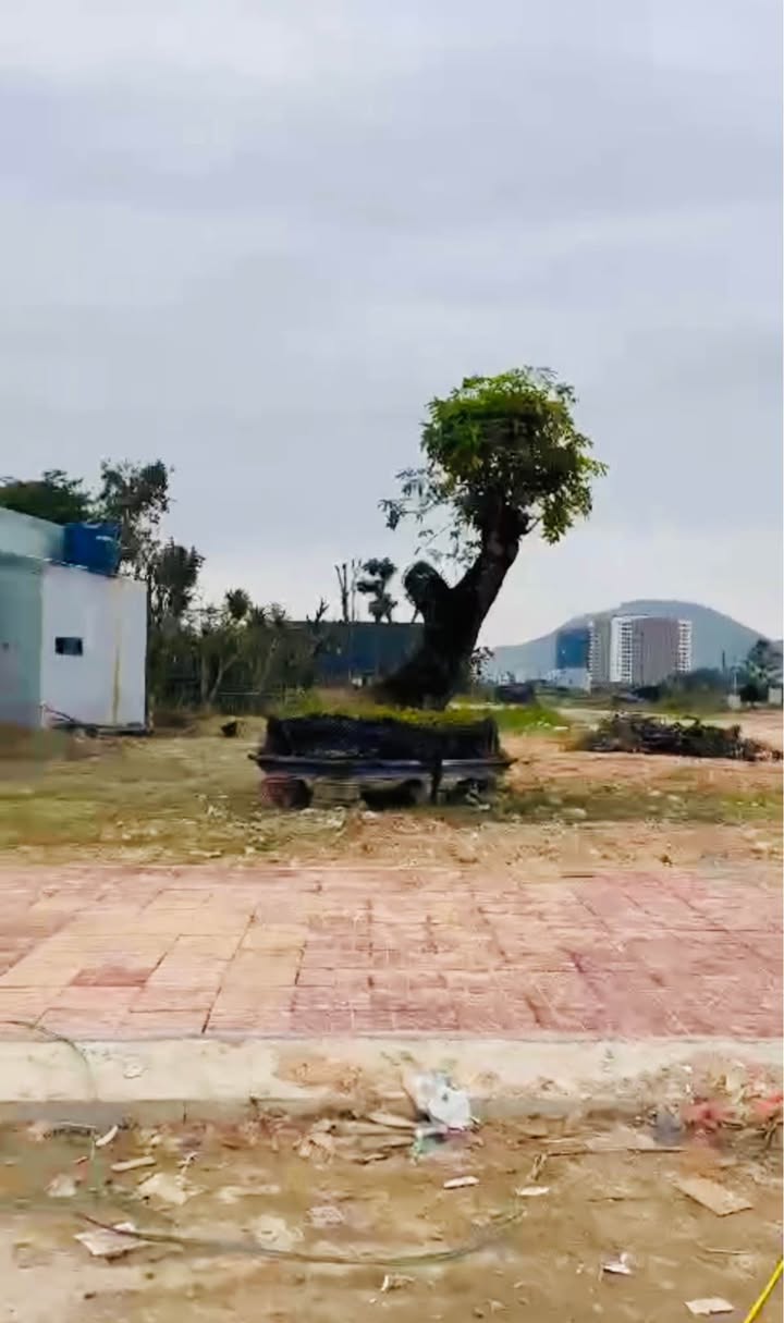 Đất Long Vân Cần Đước 100m² Sổ Đỏ Sẵn Sàng - Giá 2.4 Tỷ