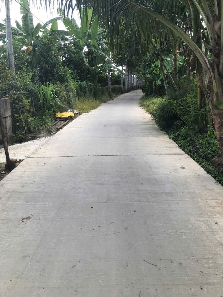 Đất nền Đông Phước Châu Thành 380m² giá 800 triệu - Sổ đỏ chính chủ!