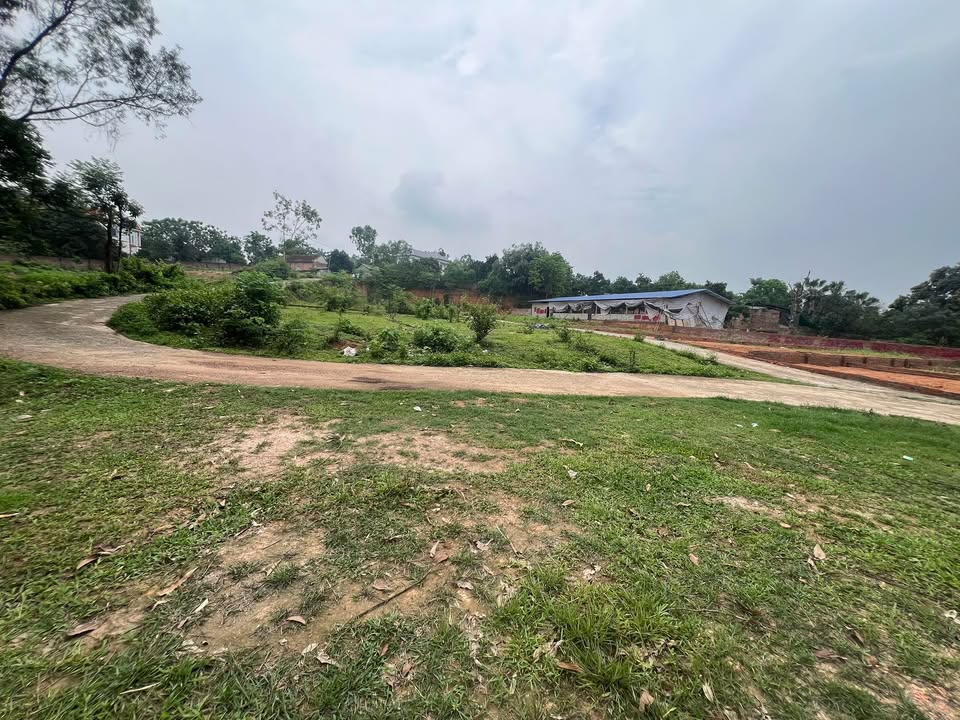 Bán Đất Tam Dương Vĩnh Phúc 155m² Giá 900 Triệu - Sổ Đỏ Chính Chủ