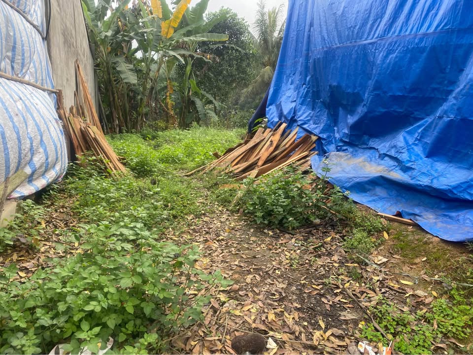 Đất Yên Bình, Yên Bái 206.5m² Sổ Đỏ Sẵn Sàng - Giá 1.5 Tỷ