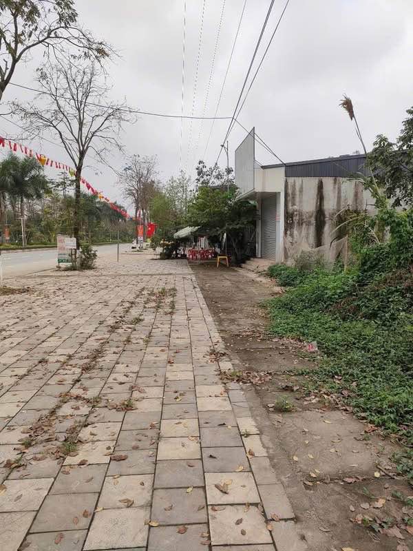 Đất Nền Âu Cơ Yên Bái 91.6m² - Tiềm Năng Tăng Giá Vượt Trội!